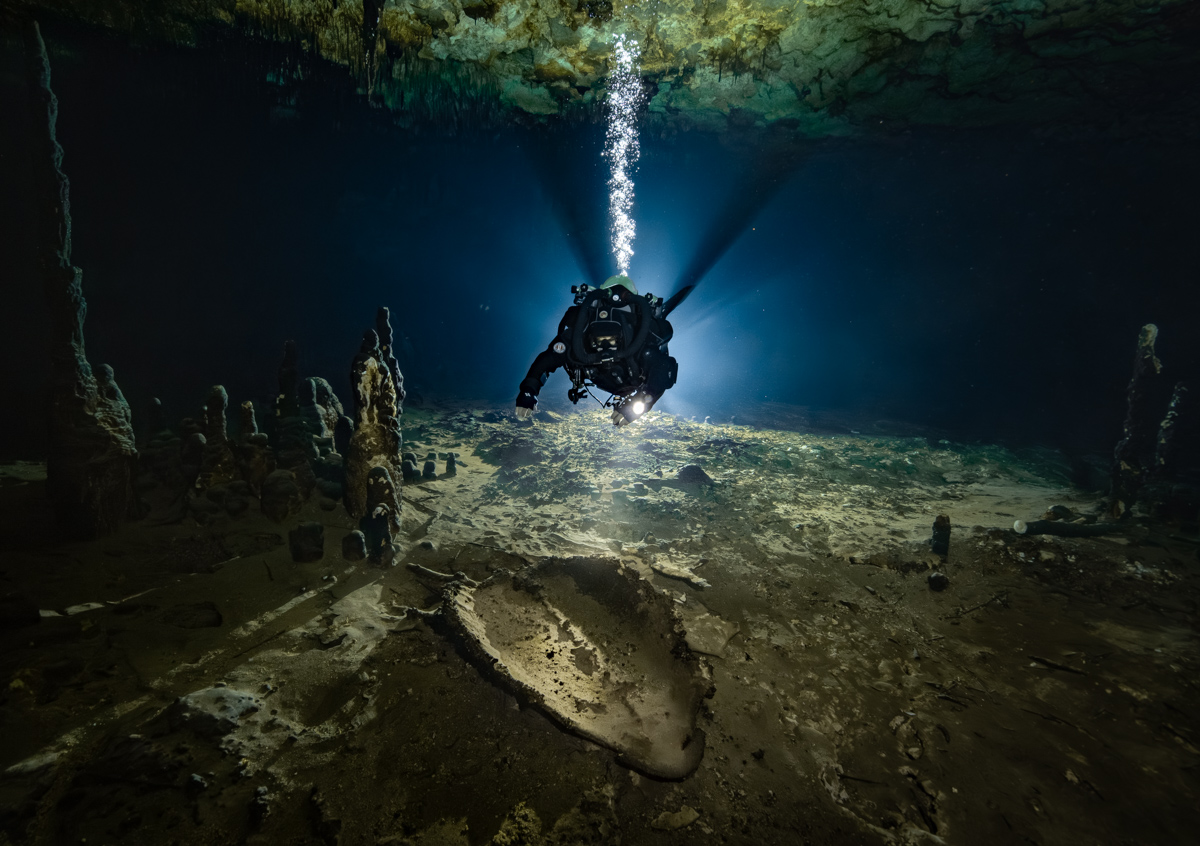 Turtle 200 000 years later