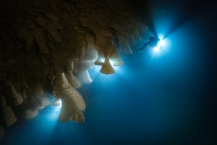 Hells Bells at cenote Zapote